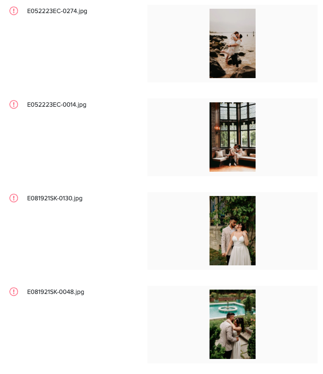 Image filenames on Pixieset SEO Manager